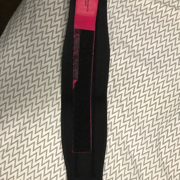 Dana Linn Bailey autographed Harbinger Weight Belt - Picture 2 of 3